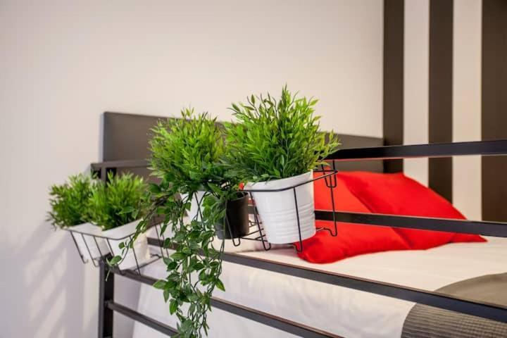 ホテル Cool Lofts Center バレンシア エクステリア 写真