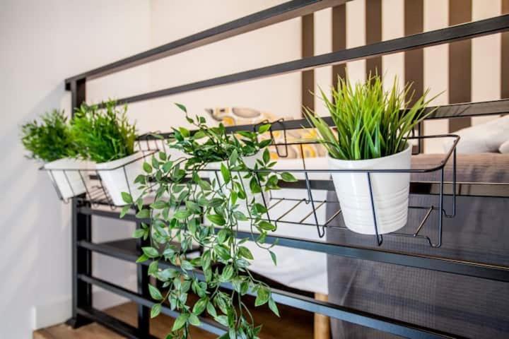 ホテル Cool Lofts Center バレンシア エクステリア 写真